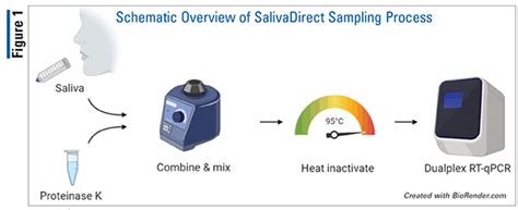 saliva testing drop off|saliva direct dtc.